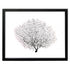 black sea fan black landscape frame